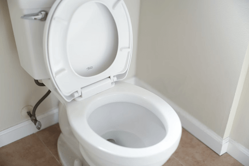 Guide to Choosing the Perfect Toilet Bowl for Your Bathroom